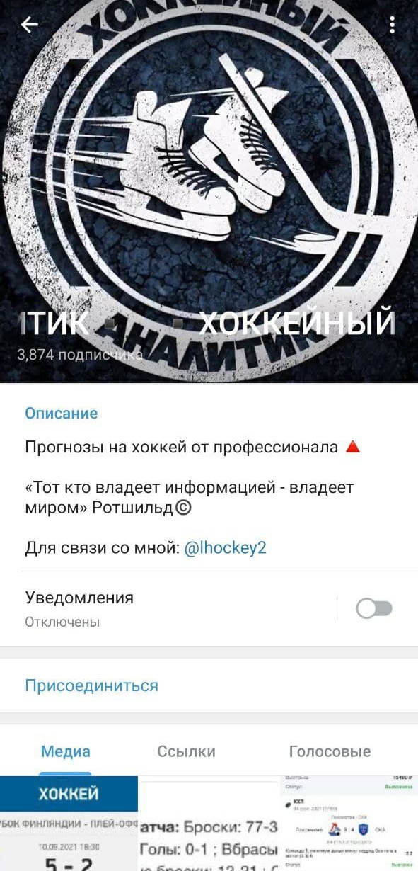 Хоккейный Аналитик