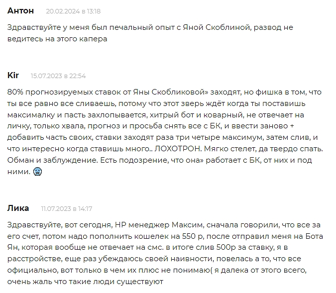 Отзывы на проект Яна Скобликова