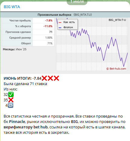 Статистика июня-2025 по верификатору