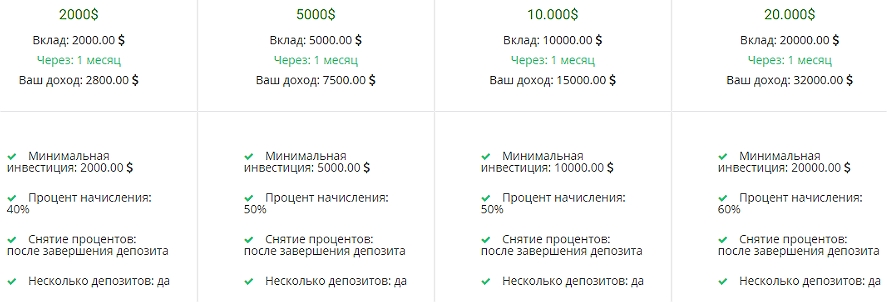 тимур гареев ставки