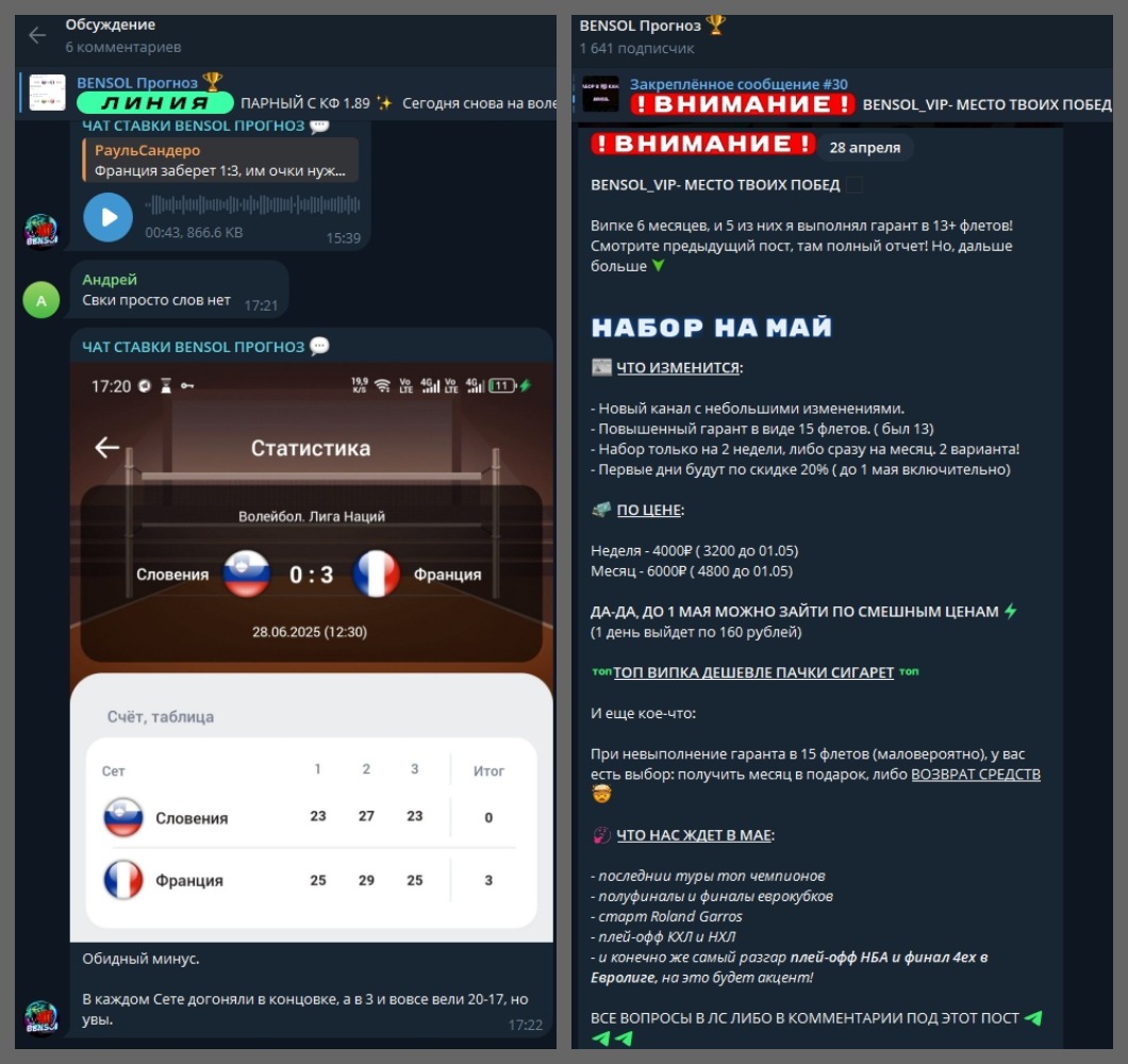 Владислав Солдатенков