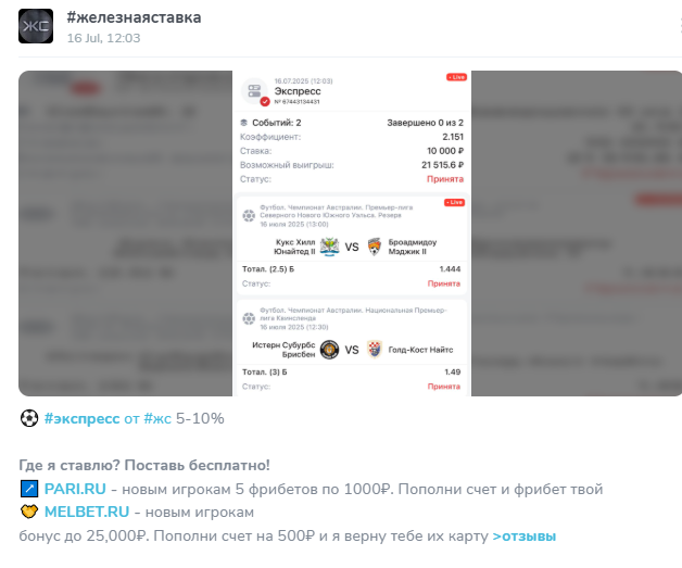 Железная Ставка