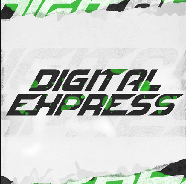 digital express отзывы