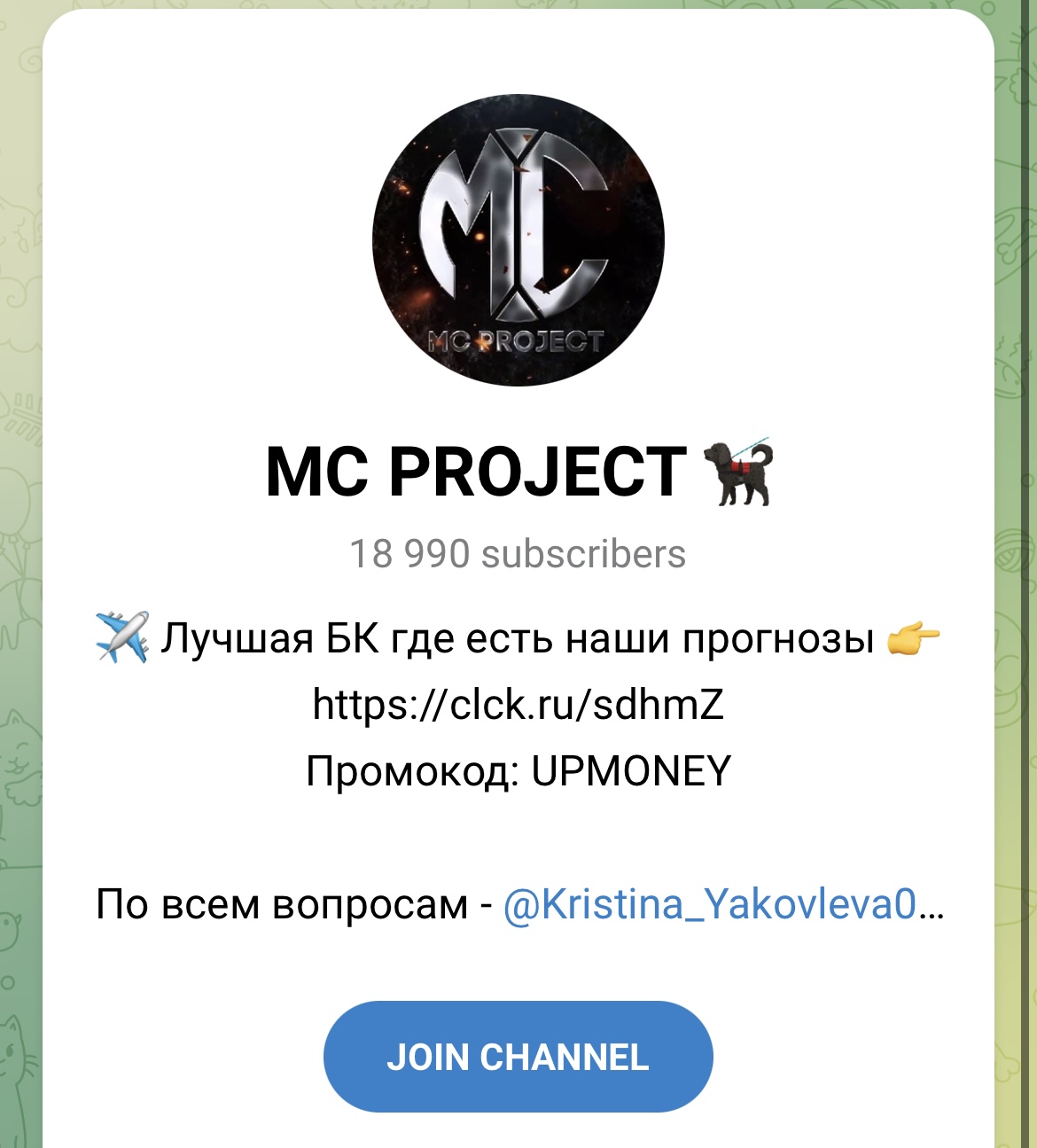 mc project капер