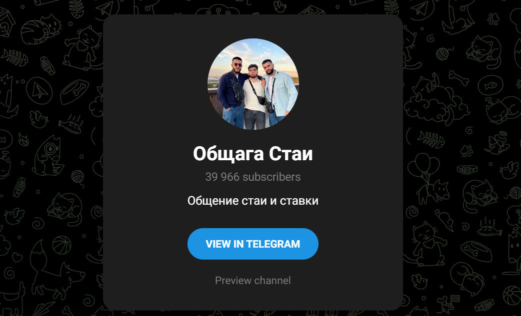 общага стаи