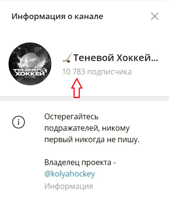 теневой хоккей отзывы