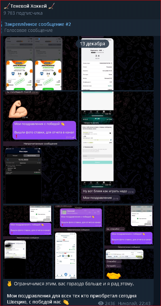 теневой хоккей телеграмм отзывы