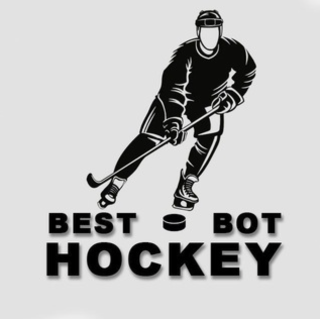 Best Bot Hockey