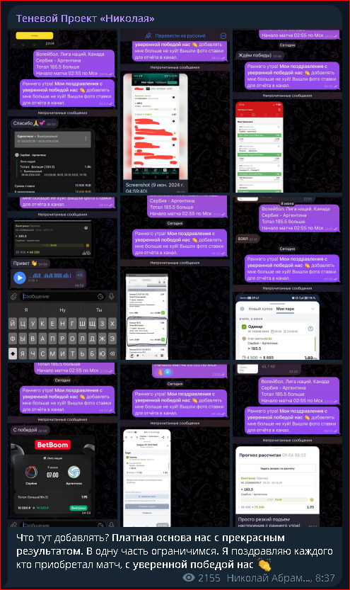 теневой проект николая телеграм
