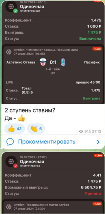 Validol Bet проект