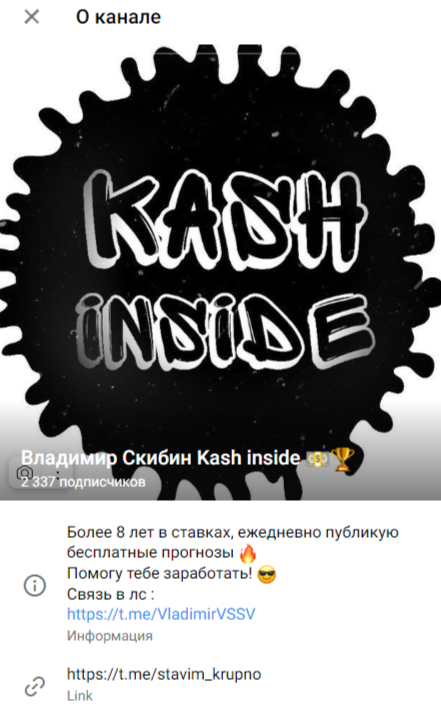 Владимир Скибин Kash Inside