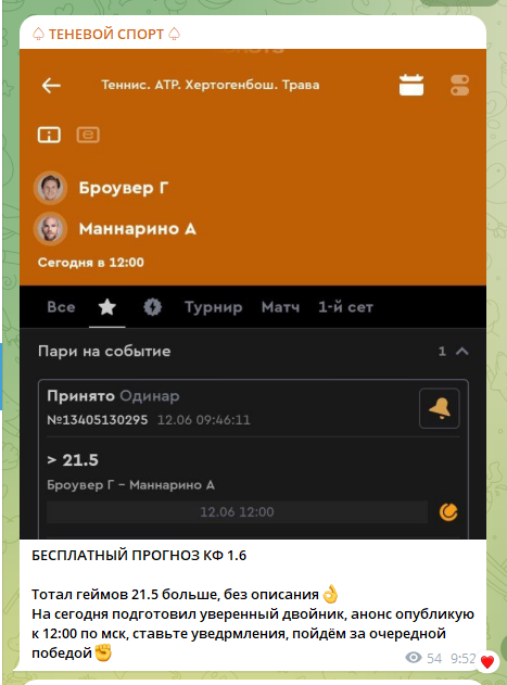 теневой спорт