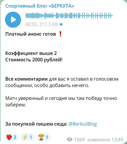 блог беркута телеграмм отзывы
