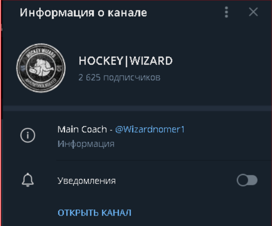 hockey wizard