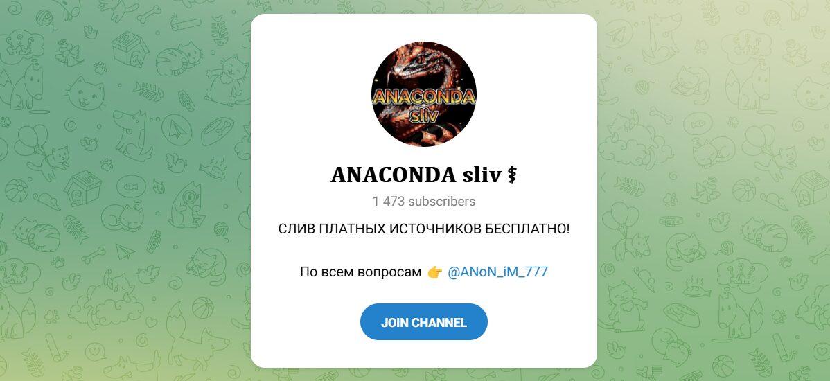 Канал Telegram Anaconda Sliv – Отзывы о Ставках