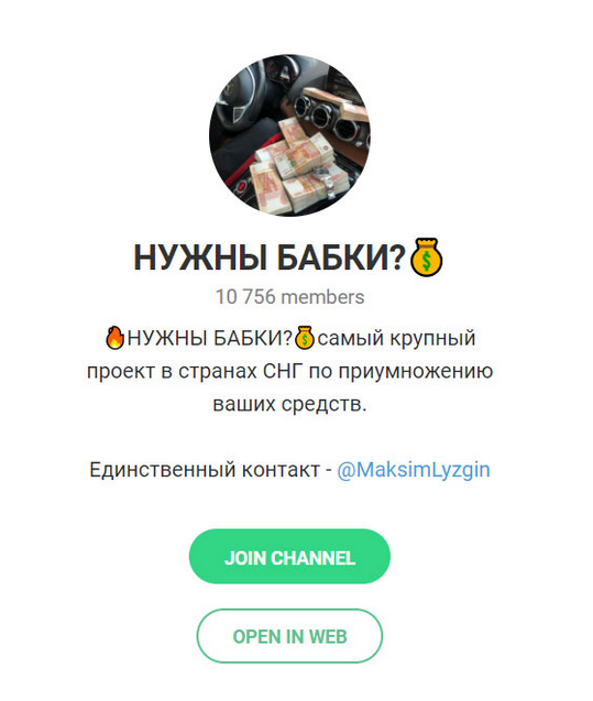 Максим Лузгин