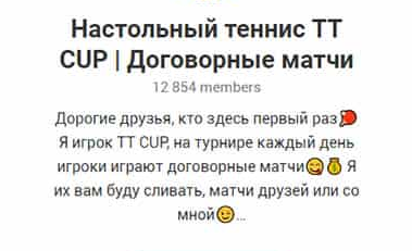 Настольный теннис TT CUP