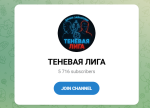 Канал Telegram Теневая Лига – Отзывы о Даниле Зайнуллине De_zainul