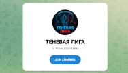 Канал Telegram Теневая Лига – Отзывы о Даниле Зайнуллине De_zainul