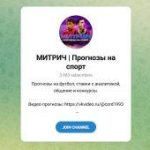 Группа VK и Канал Telegram Митрич | Прогнозы на Спорт @ockapp7 – Отзывы о Вадиме Витальевиче