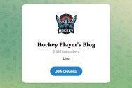 Канал Telegram Hockey Player s Blog – Отзывы о Романе Гурине @roman_guro