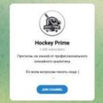 Канал Telegram Hockey Prime – Отзывы о Данииле @daniil_corp