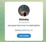 Канал Telegram Molodoy (lsmolodoy) – Реальные Отзывы