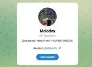Канал Telegram Molodoy (lsmolodoy) – Реальные Отзывы