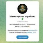 Канал Telegram Министерство Заработка – Отзывы о Владимире Лебедеве Lebedev_2021