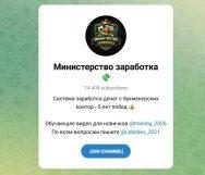 Канал Telegram Министерство Заработка – Отзывы о Владимире Лебедеве Lebedev_2021