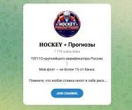 Канал Telegram Hockey | Прогнозы – Отзывы о Denis Hockeyadm